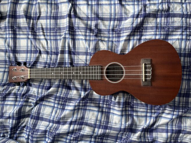 Guitar Ukulele
