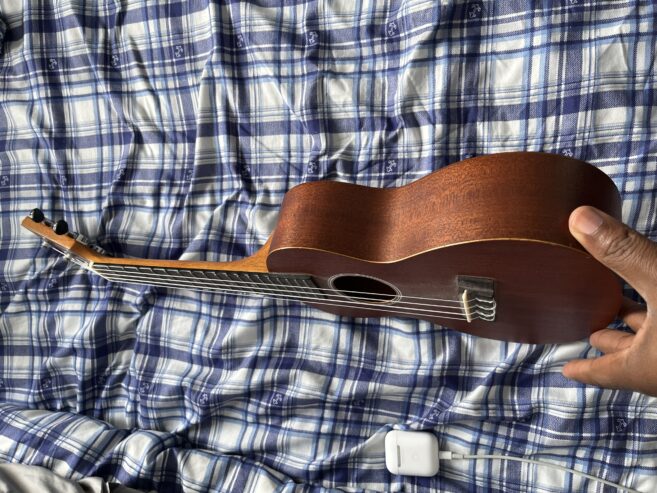 Guitar Ukulele