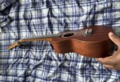 Guitar Ukulele