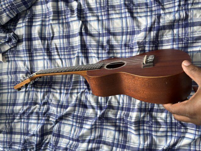 Guitar Ukulele