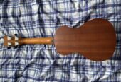 Guitar Ukulele