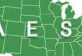 America English School & Enspanac