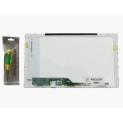 525159239_786903717005321_7661750859471362048_n